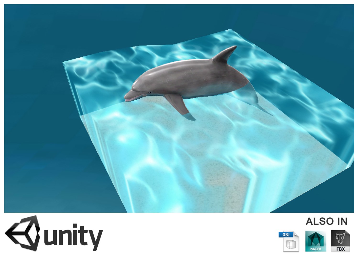 3d dolphin water rigged https://p.turbosquid.com/ts-thumb/jH/hoAkba/IucGT0S7/2b/jpg/1430256038/1920x1080/fit_q87/1fc5faccbdacb35e745af3004b32317a3e347b41/2b.jpg