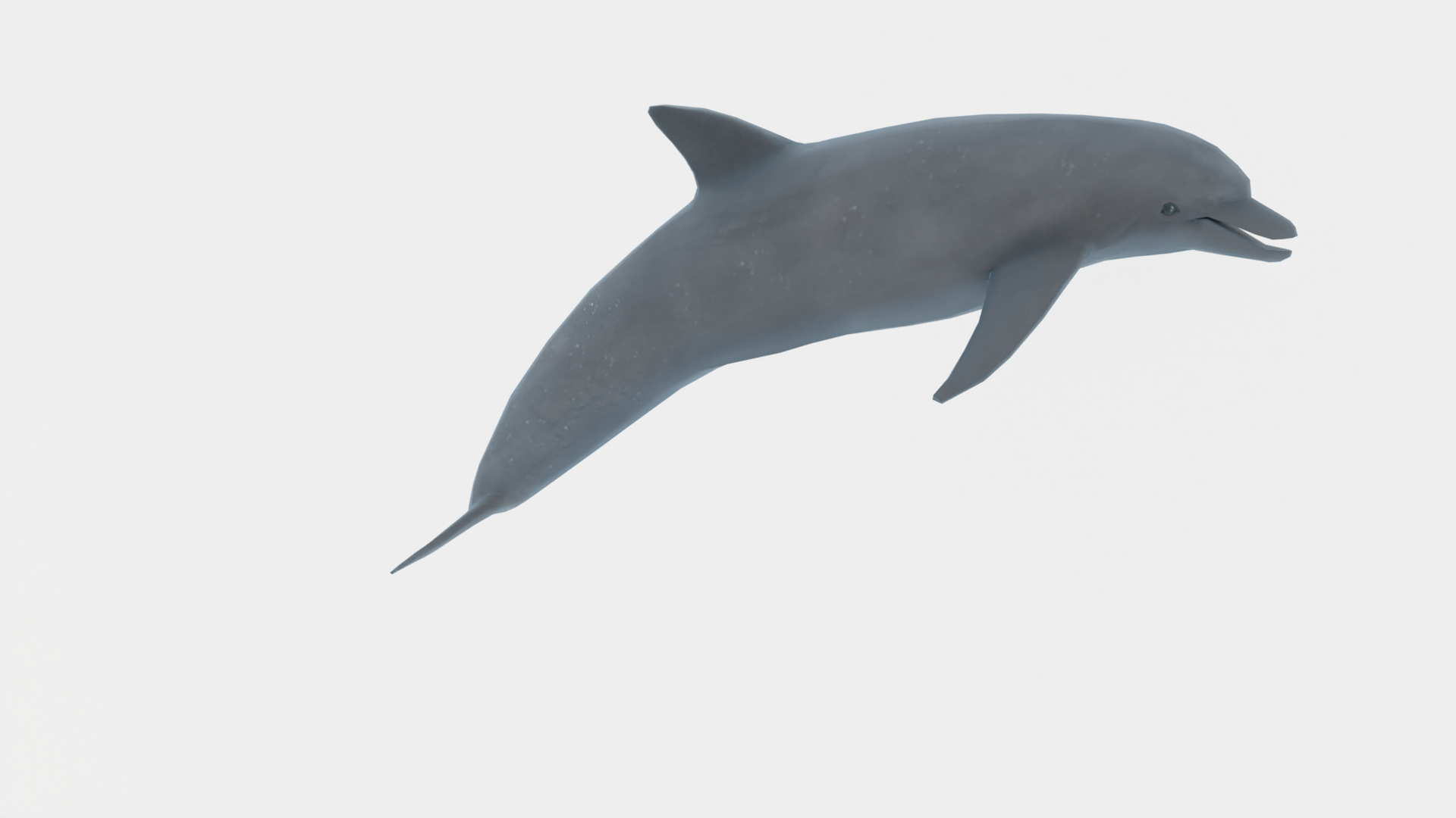 3d dolphin water rigged https://p.turbosquid.com/ts-thumb/jH/hoAkba/Lx/dolphin/jpg/1654308447/1920x1080/turn_fit_q99/3faec73e8f4a1c4de192fb7c60e3dab349969ad9/dolphin-1.jpg