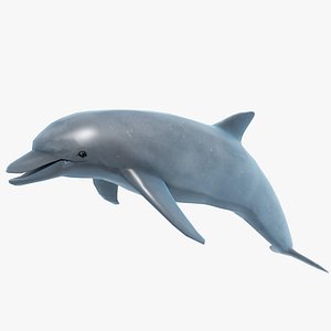 Dolphin LowPoly in animated water for Unity