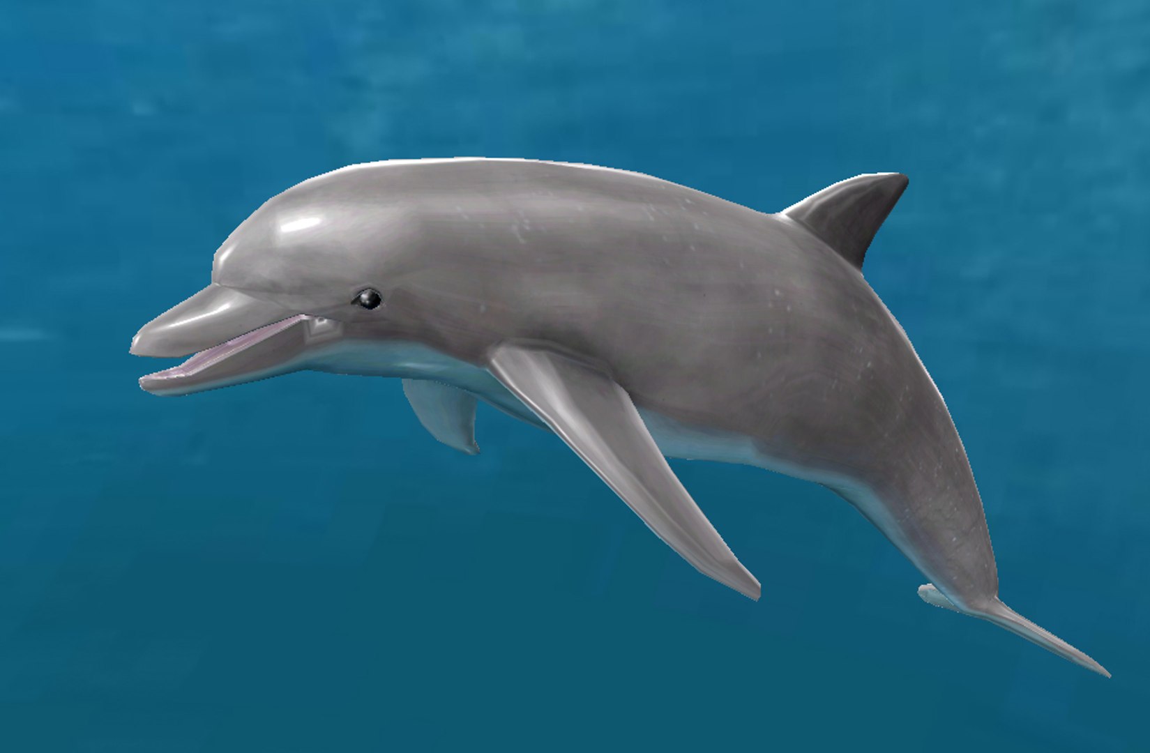 3d dolphin water rigged https://p.turbosquid.com/ts-thumb/jH/hoAkba/pMirnnh3/dolph1/jpg/1430256038/1920x1080/fit_q87/2123a17208f9ee1845dfc643b5e74b1c6a892efc/dolph1.jpg