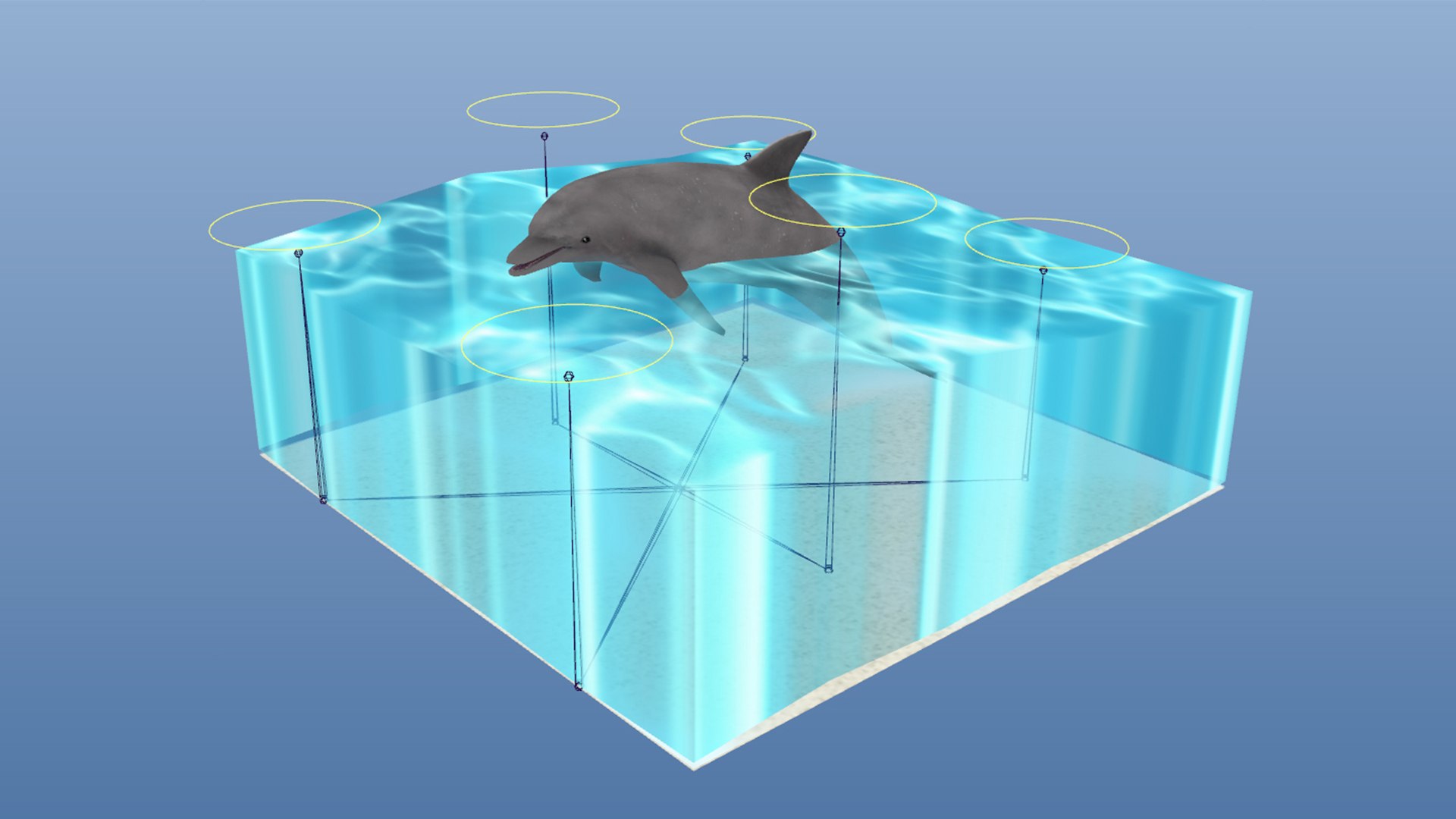 3d dolphin water rigged https://p.turbosquid.com/ts-thumb/jH/hoAkba/xR/productdolphin_03/jpg/1654307680/1920x1080/fit_q87/e7b089ea4b13340cf6bb855d7cc331c94dc5ce2c/productdolphin_03.jpg