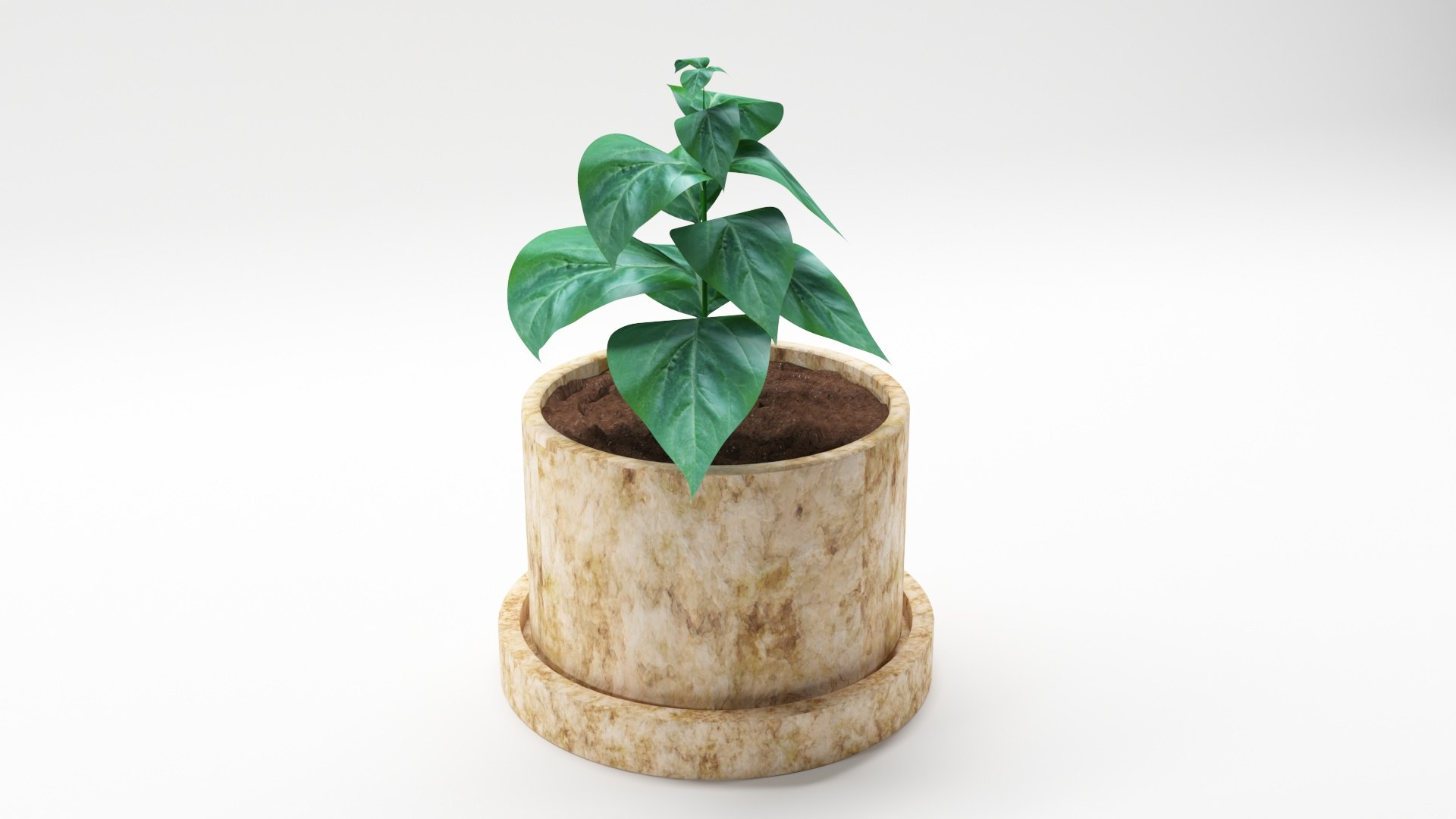 Green leaves in stone vase 3D model https://p.turbosquid.com/ts-thumb/jH/nEFfWK/Q6/greenleaves21920x1080/jpg/1689070784/1920x1080/fit_q87/2dedc446f02856c73603374ff2f38e34d0f87d7c/greenleaves21920x1080.jpg