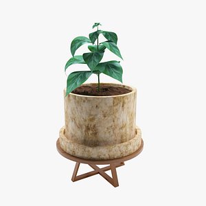 Green leaves in stone vase 3D model