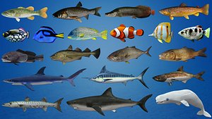 Fish Collection Animated - Game Ready Pack 1