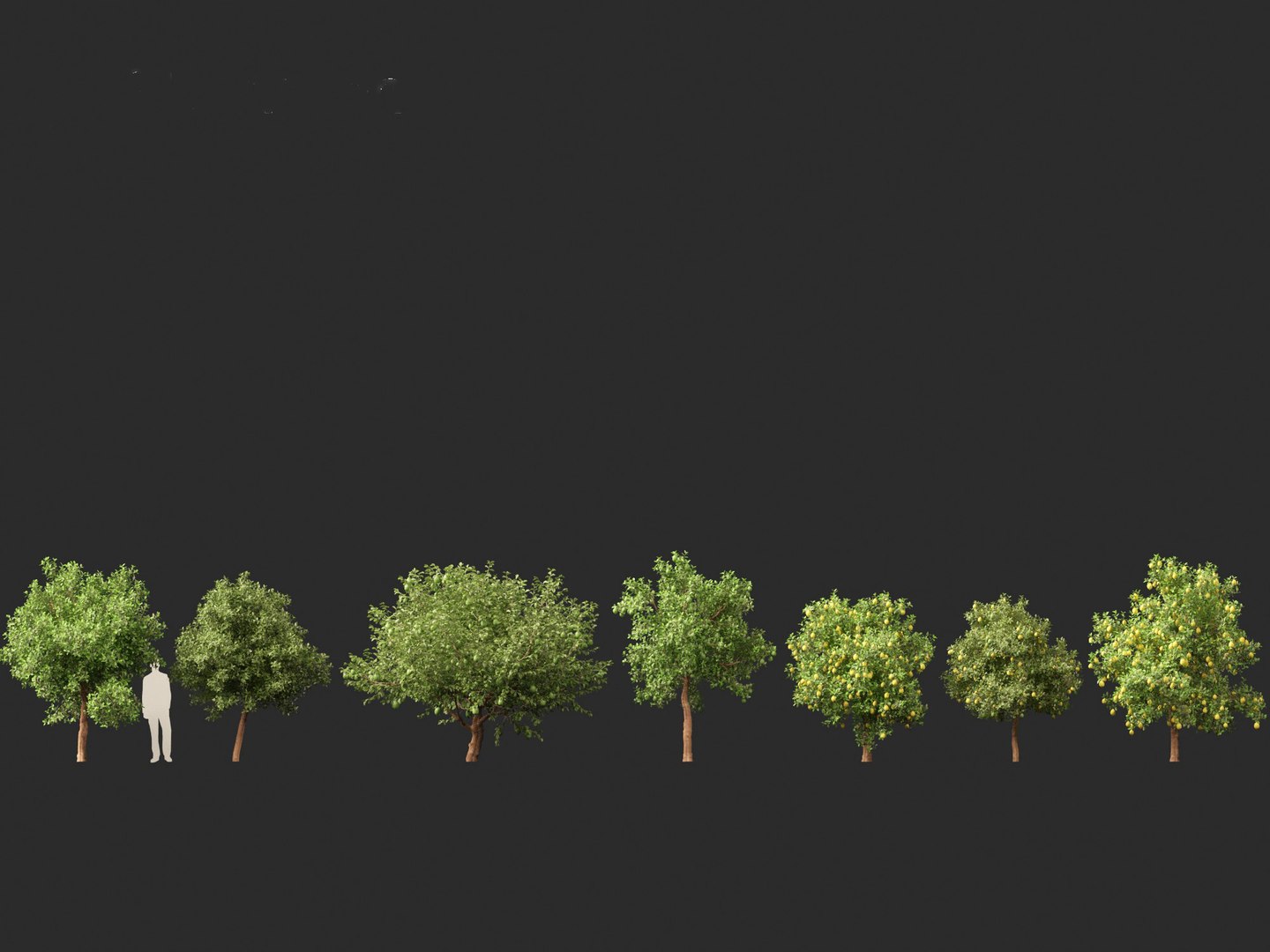 Citrus limon - Lemon Tree 02 3D model https://p.turbosquid.com/ts-thumb/jI/38p1Dl/U8/citruslimon022/jpg/1692608792/1920x1080/fit_q87/e2a833233d8eb0b85e16bf09098dd92cee0a2a7a/citruslimon022.jpg