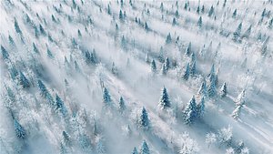 Snow scene overlooking snow mountain snow field pine tree 3D model 3D