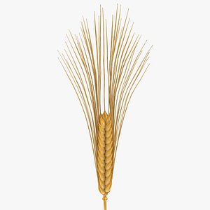 wheat scanline 3d max