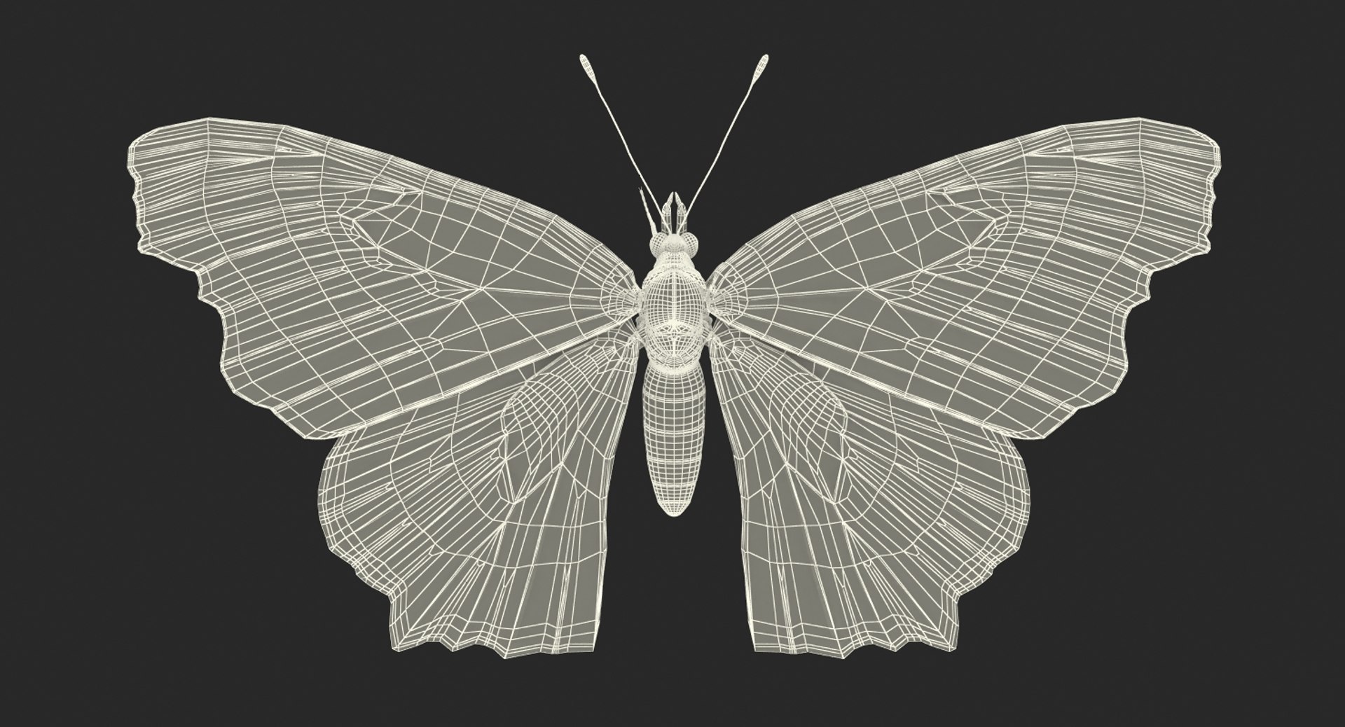 3D Butterflies Fur Collection 2 model https://p.turbosquid.com/ts-thumb/jI/Qn9k1V/FW/butterflies_fur_collection_2_016/jpg/1782631940/1920x1080/fit_q87/7ae19948a74914c2ae4e4fd2dff788e6c49b39dc/butterflies_fur_collection_2_016.jpg