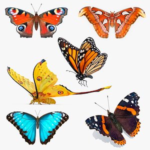 3D Butterflies Fur Collection 2 model