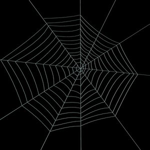 spider web 3d model