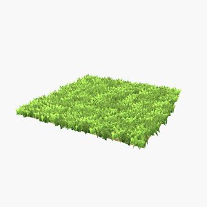 Grass trimmed Lowpoly Game Ready