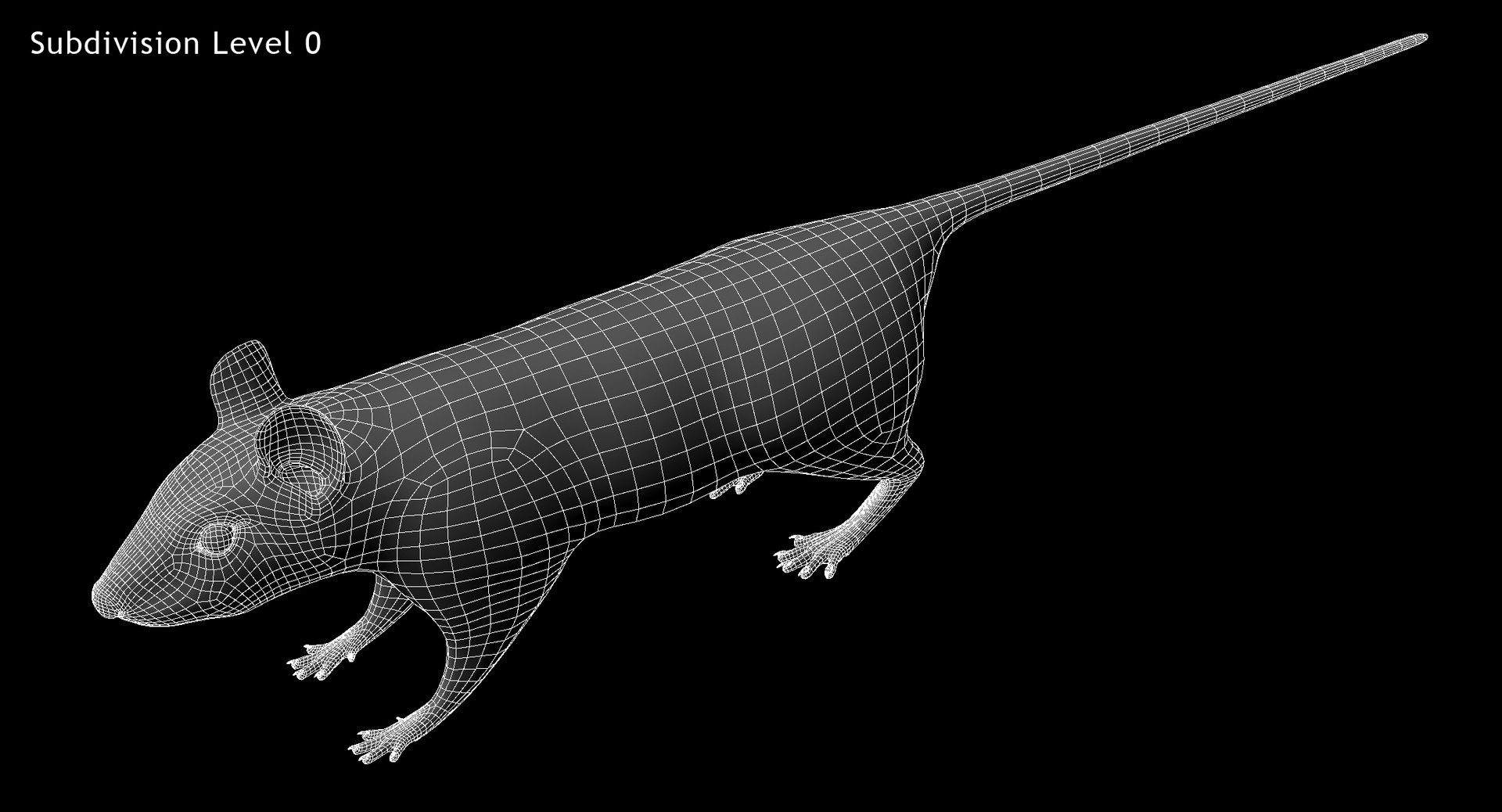 3d model white rat https://p.turbosquid.com/ts-thumb/jI/YRAgsG/OFabV8e2/w01/jpg/1470655753/1920x1080/fit_q87/9674ac733c11ed0ab710dffa8de0ce1995bc0b71/w01.jpg
