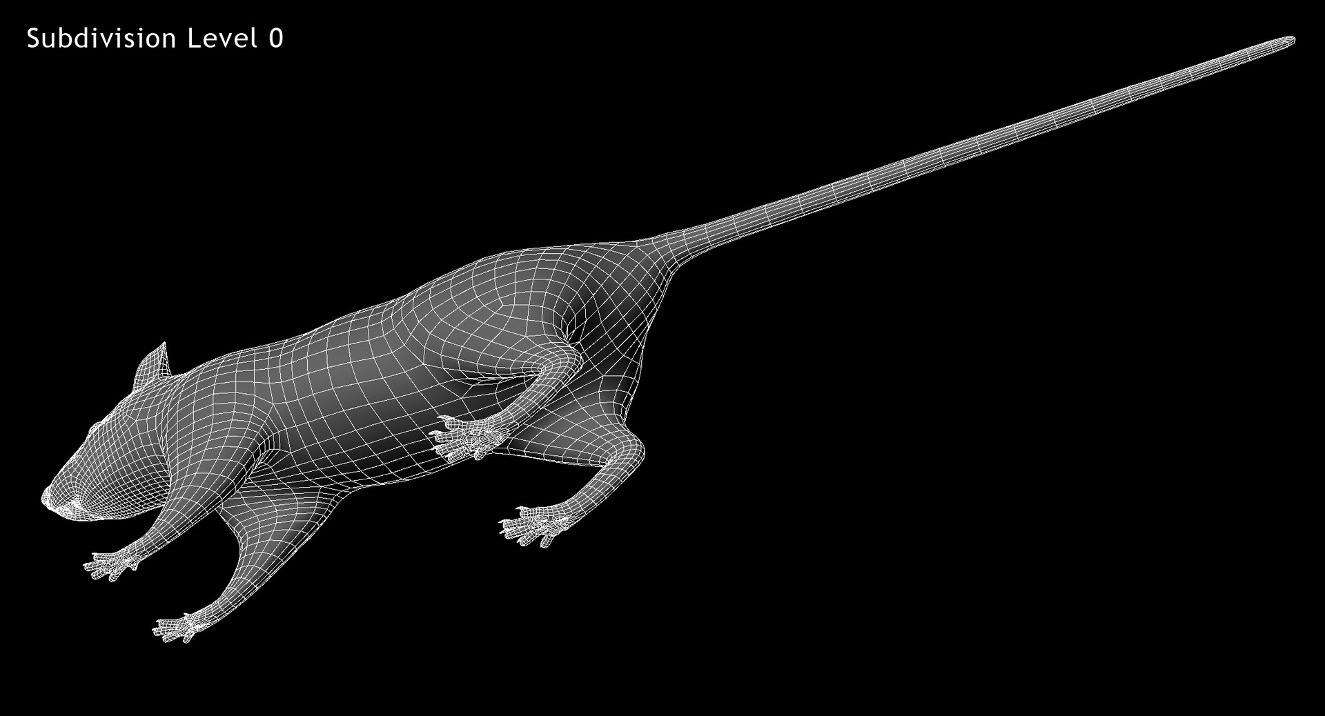 3d model white rat https://p.turbosquid.com/ts-thumb/jI/YRAgsG/psMgnHzk/w03/jpg/1470655753/1920x1080/fit_q87/878eb032663fc5095bbafc804dcaceb0711c3188/w03.jpg