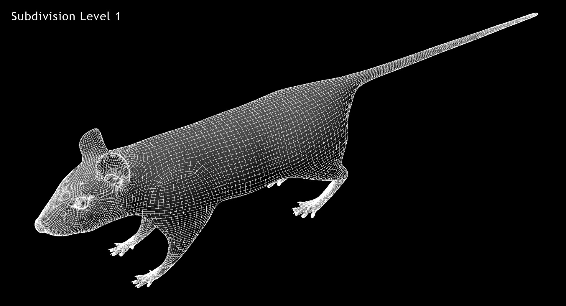 3d model white rat https://p.turbosquid.com/ts-thumb/jI/YRAgsG/wBbR6HrA/w02/jpg/1470655753/1920x1080/fit_q87/569d2e87a88fd3c963f9f80dd181c2d5863da613/w02.jpg