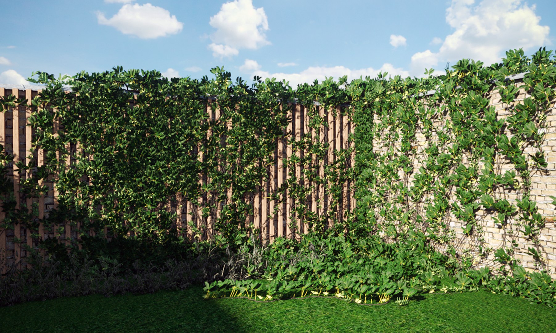 Fence Ivy Vine Brick Wood Wall 3D Model TurboSquid 1802854