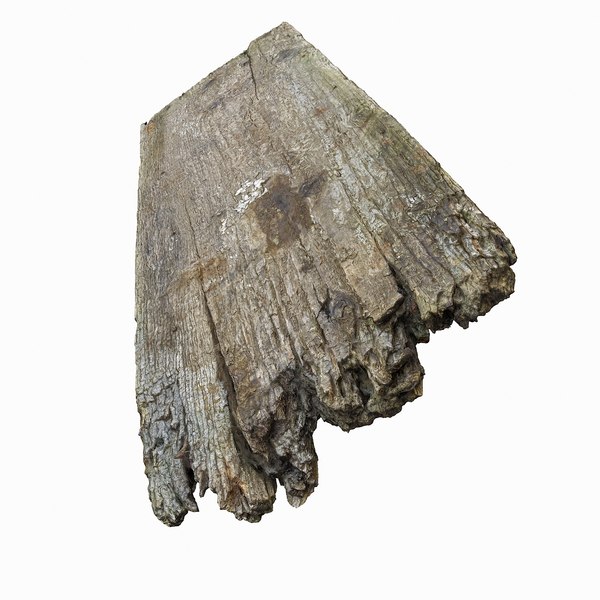 damage plank wood broke 3d model