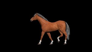 Animated horse 3D