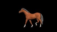 Animated horse