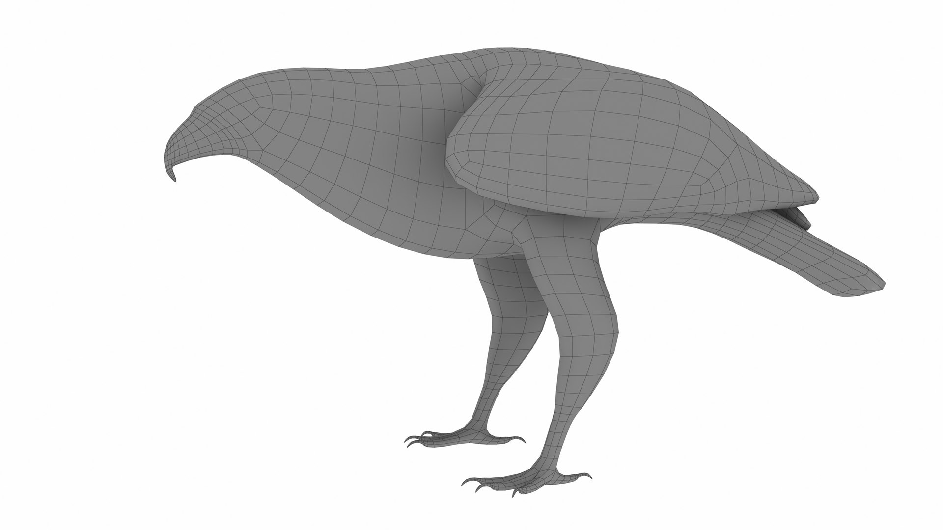 3D Wild Birds 4 In 1 Collection Model - TurboSquid 2339239