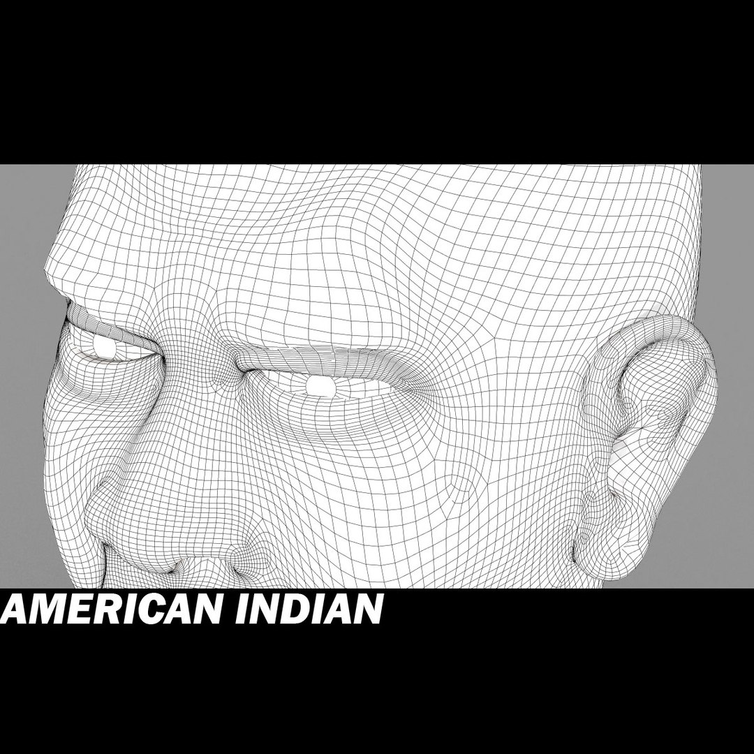 american indian head 3d model https://p.turbosquid.com/ts-thumb/jJ/4lbxzH/vPu3ftOj/indg/jpg/1312902350/1920x1080/fit_q87/bd092fea81eb3a1f4aa1e87a1cd1aca2f990c04a/indg.jpg