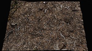 forest ground cutted tree branches area part7 photogrammetry model