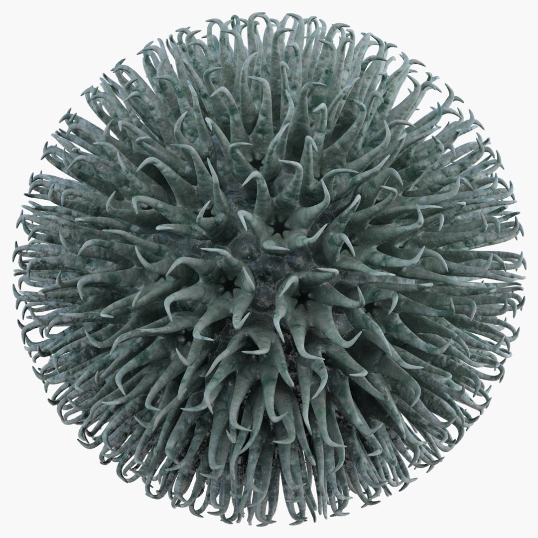Micro Object Mht 3d Max