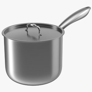 Stainless Saucepan