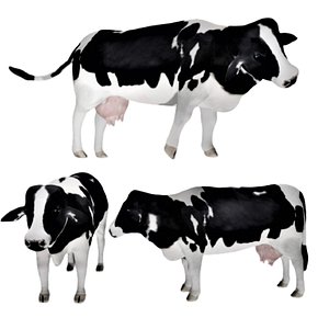 3D Fully rigged low poly Dairy Cow