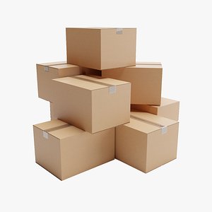 Large Packaging Box 3D