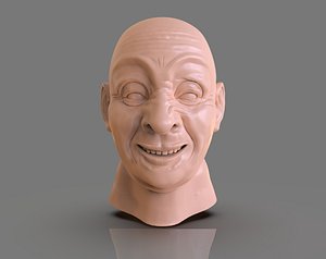 Pirate Head Mechatronic 3D