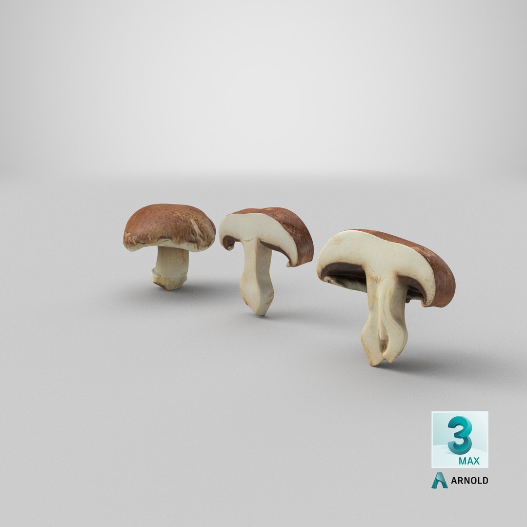 PortobelloMushroomSet 3D model https://p.turbosquid.com/ts-thumb/jJ/Xczq0P/CJ/stemcell_max_arnold_render/png/1618899685/1920x1080/fit_q87/e17fdb075c7e04f919b1ef0002e81f0f1de3230e/stemcell_max_arnold_render.jpg