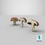 Set di funghi portobello