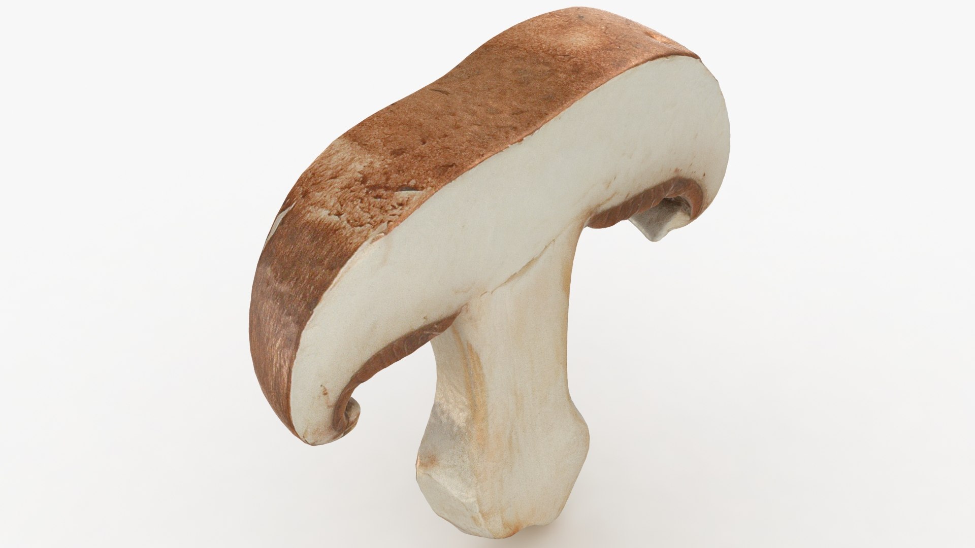 PortobelloMushroomSet 3D model https://p.turbosquid.com/ts-thumb/jJ/Xczq0P/Fr/31/jpg/1618549023/1920x1080/fit_q87/face9292b00cc2c421bb0e72b5c9ee450b7362c8/31.jpg