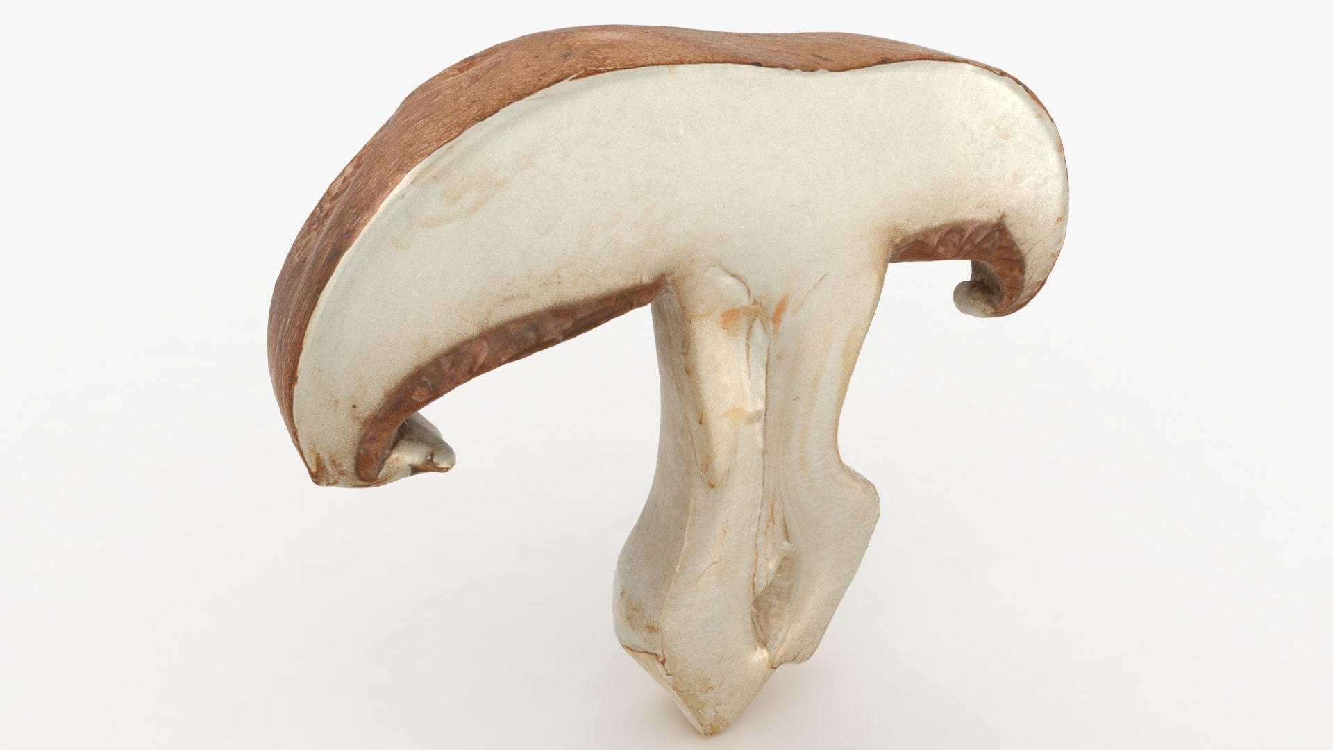 PortobelloMushroomSet 3D model https://p.turbosquid.com/ts-thumb/jJ/Xczq0P/Ga/32/jpg/1618549027/1920x1080/fit_q87/f7d3991591a03b71c382f4f65354b7bd0666993b/32.jpg