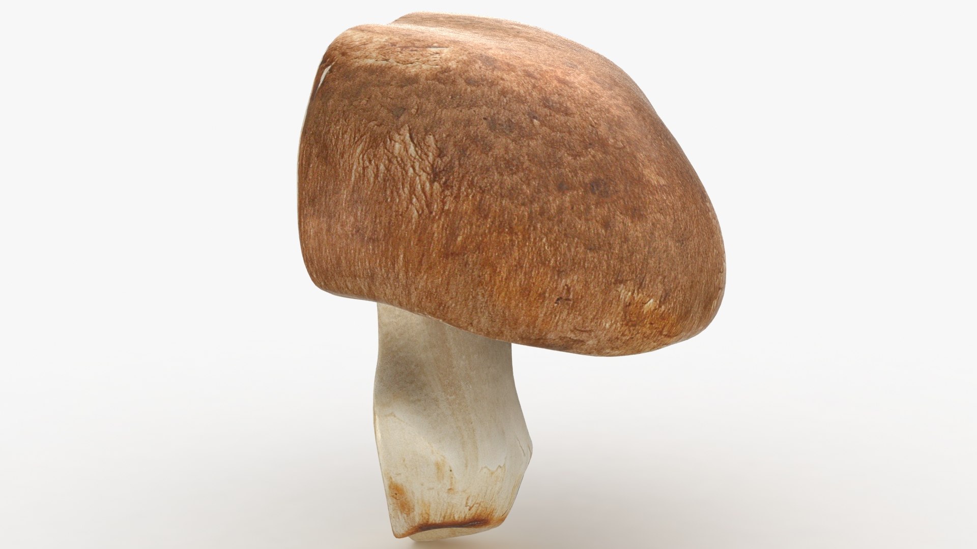 PortobelloMushroomSet 3D model https://p.turbosquid.com/ts-thumb/jJ/Xczq0P/Kc/25/jpg/1618549027/1920x1080/fit_q87/8bc8d129670f036e0a75fee234bb2dd9a9b1fffd/25.jpg