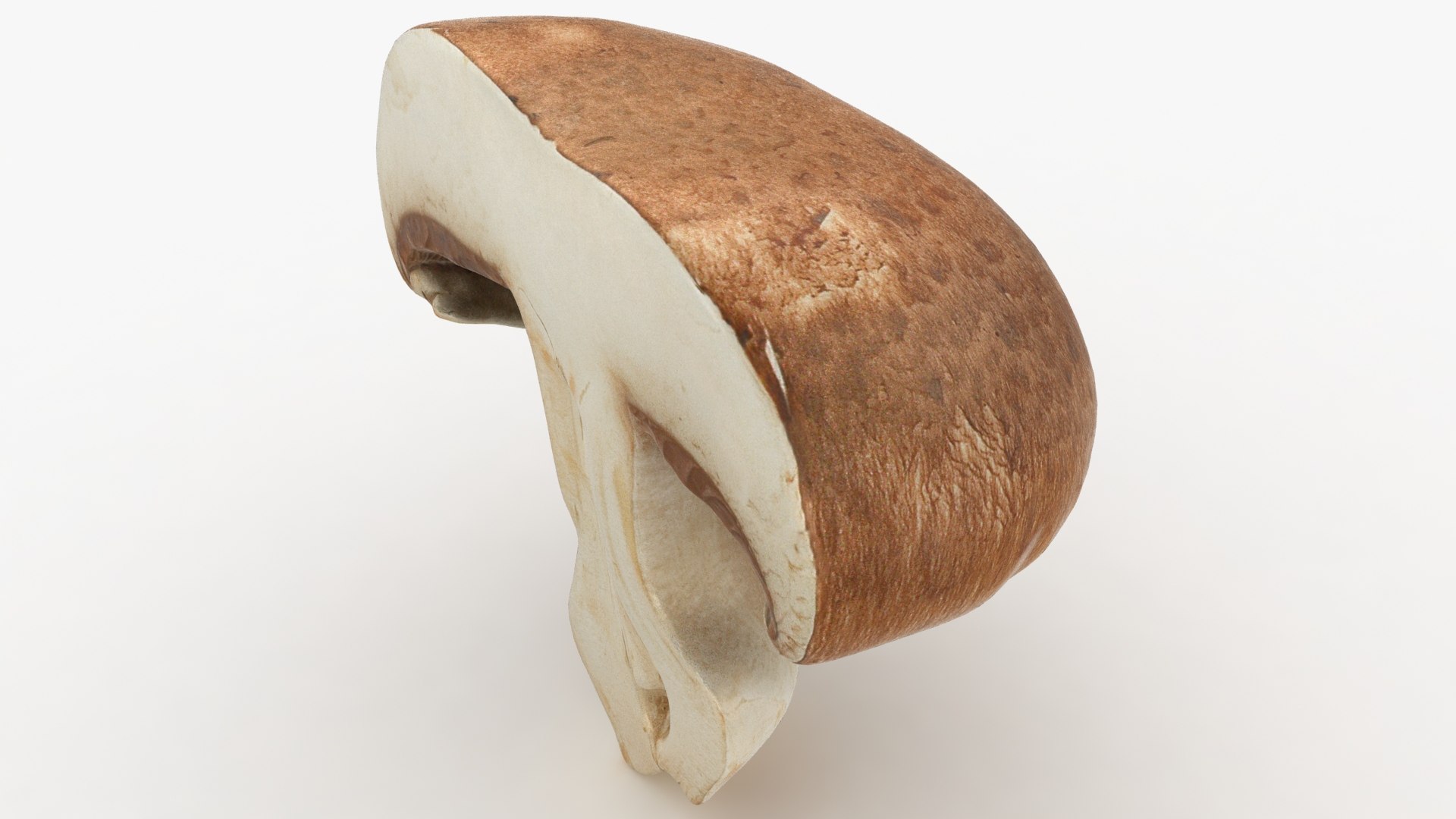 PortobelloMushroomSet 3D model https://p.turbosquid.com/ts-thumb/jJ/Xczq0P/Nt/21/jpg/1618549021/1920x1080/fit_q87/d60c36a4cfa5cd6f4e110e59081a1d3d121d21a7/21.jpg