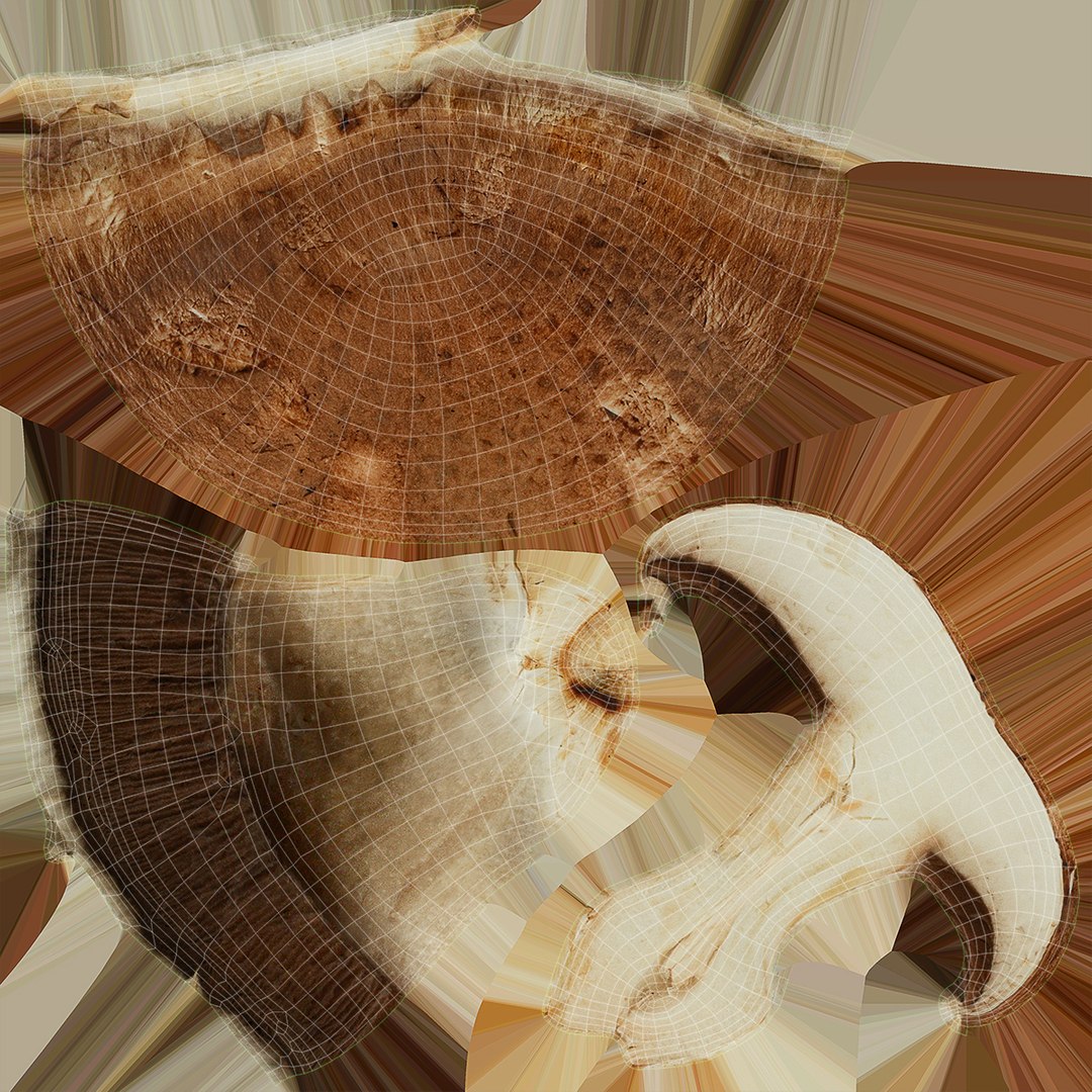 PortobelloMushroomSet 3D model https://p.turbosquid.com/ts-thumb/jJ/Xczq0P/OQ/29/jpg/1618549030/1920x1080/fit_q87/e3d44ad02a2d98514070798e6897bcef985ecf22/29.jpg