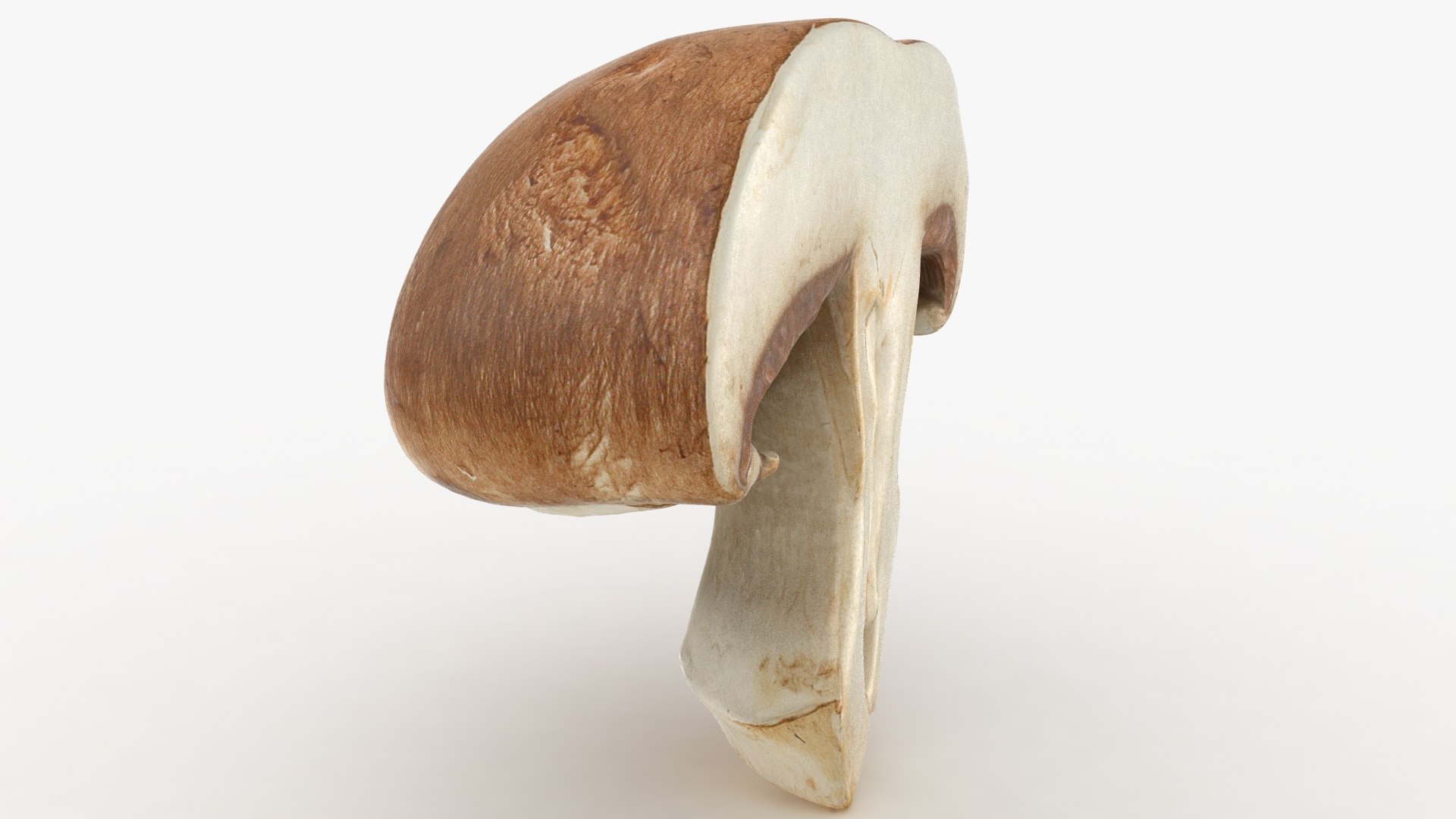 PortobelloMushroomSet 3D model https://p.turbosquid.com/ts-thumb/jJ/Xczq0P/Pn/23/jpg/1618549021/1920x1080/fit_q87/cd4e04c3708802a448f8a82f559db96e94aebd5b/23.jpg