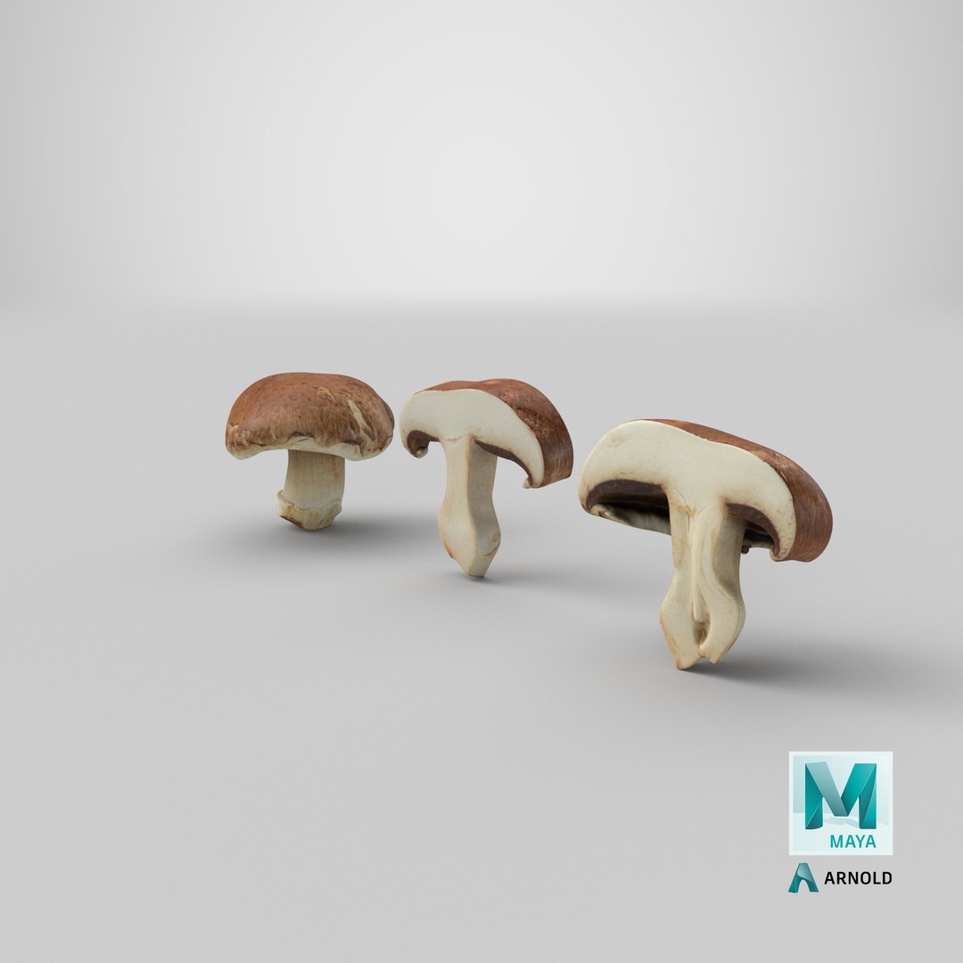 PortobelloMushroomSet 3D model https://p.turbosquid.com/ts-thumb/jJ/Xczq0P/aN/stemcell_maya_arnold_render/png/1618899696/1920x1080/fit_q87/944feba08d7d279ccd510470182be521609f455f/stemcell_maya_arnold_render.jpg