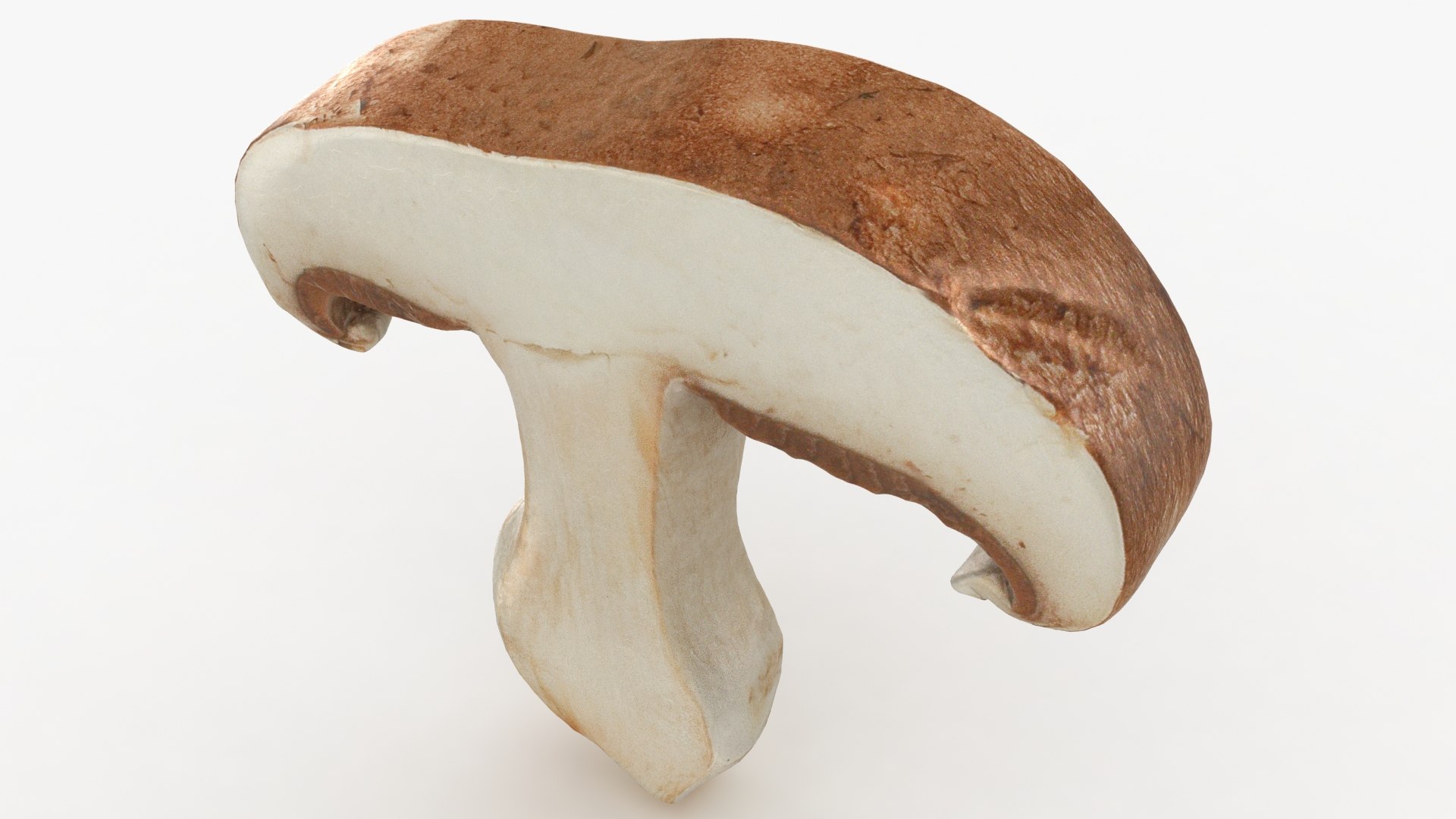 PortobelloMushroomSet 3D model https://p.turbosquid.com/ts-thumb/jJ/Xczq0P/cX/34/jpg/1618549023/1920x1080/fit_q87/e0faeaf12644b172ba6c1653c57b84dae7218e02/34.jpg