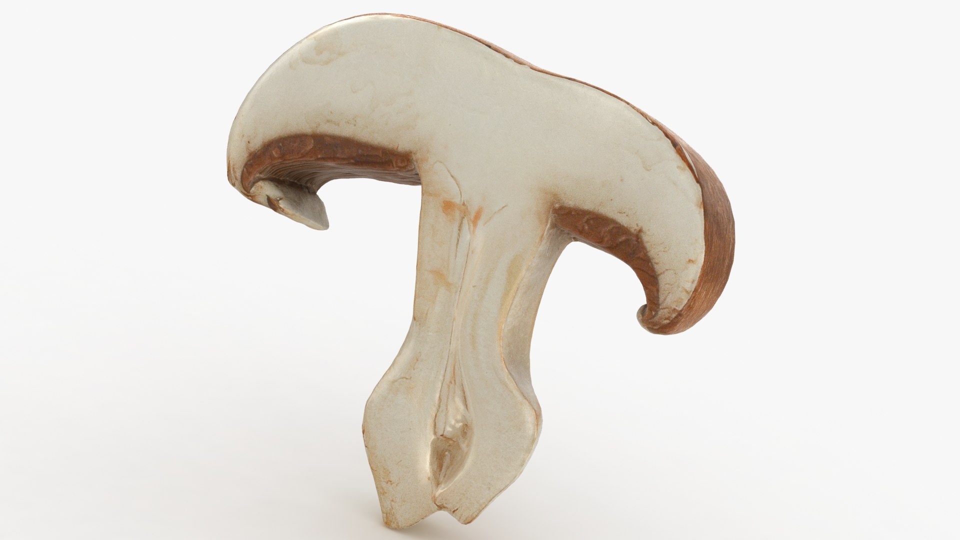 PortobelloMushroomSet 3D model https://p.turbosquid.com/ts-thumb/jJ/Xczq0P/ft/30/jpg/1618549023/1920x1080/fit_q87/ee47a456094bf38519720bde5315e6ea0dec4cd8/30.jpg