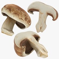 Portobello Mushroom Set