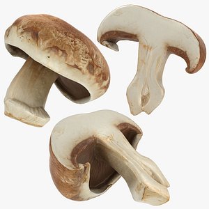 Portobello Mushroom Set