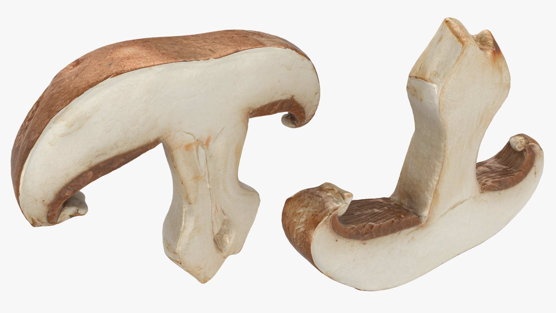 PortobelloMushroomSet 3D model https://p.turbosquid.com/ts-thumb/jJ/Xczq0P/iY/33/jpg/1618549023/1920x1080/fit_q87/7e55945956f14028081094f458b6b602cf789f16/33.jpg