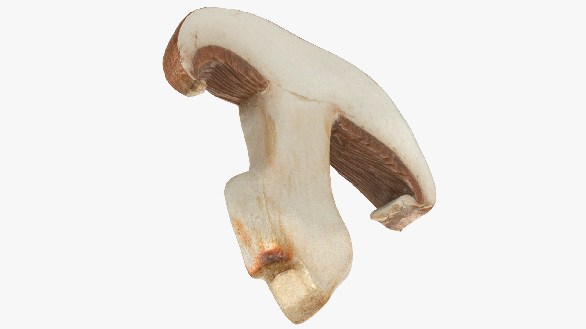 PortobelloMushroomSet 3D model https://p.turbosquid.com/ts-thumb/jJ/Xczq0P/tO/37/jpg/1618549020/1920x1080/fit_q87/f5cf841c815a24d456d68c22f099bcf9d93a7a25/37.jpg