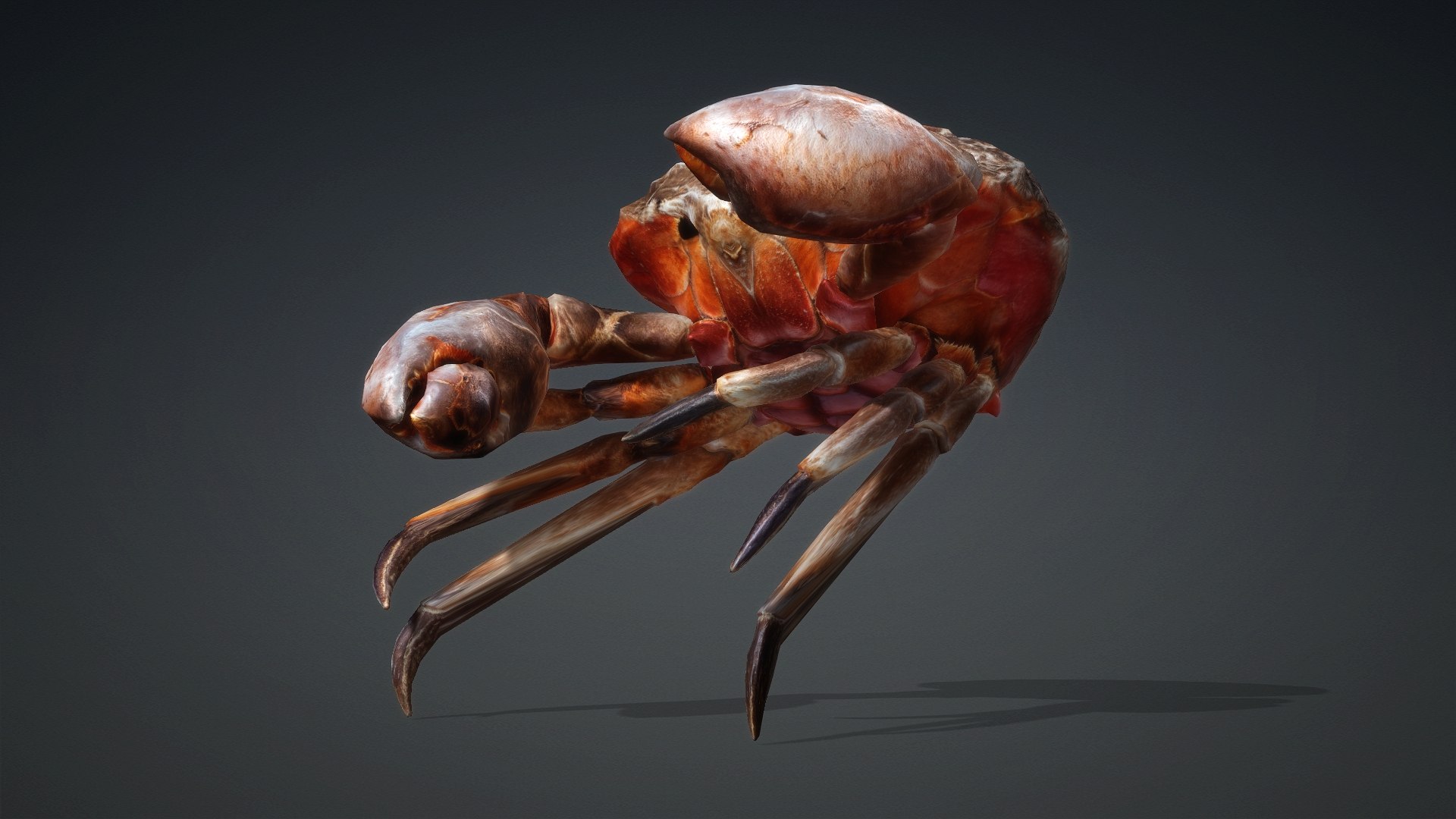 3D Crab Monster-V1b https://p.turbosquid.com/ts-thumb/jJ/ZqFfbC/5S/preview10/jpg/1769138958/1920x1080/fit_q87/e6fdb2ae228c7d25f2ce4b1c06f7e4d88af8ef48/preview10.jpg