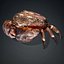 Crab Monster-V1b