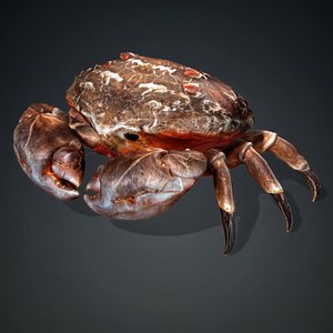 Crab Monster-V1b