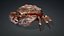 Crab Monster-V1b