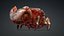Crab Monster-V1b